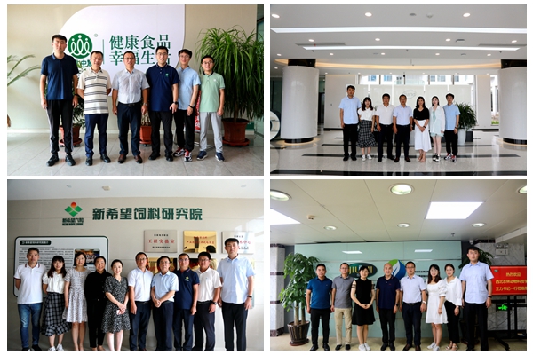 9fab6fcbeb3f421c94feade7a748742b.jpg NeoImage_副本4_副本5_副本6.jpg