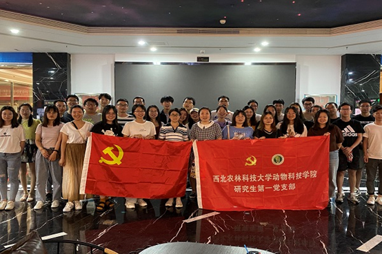 e2ccd7e3d41a4563b8478f0028e07d46.png image.png