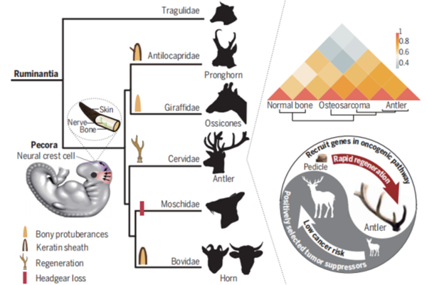 d6f4dabd9a1146ae9cd20080c66c1bea.png 王禹老师2.png