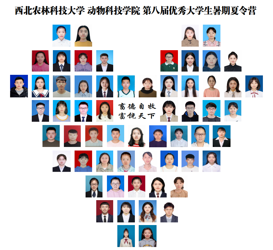 124ae89f7da545fa9793f770a7247301.png 124ae89f7da545fa9793f770a7247301.png