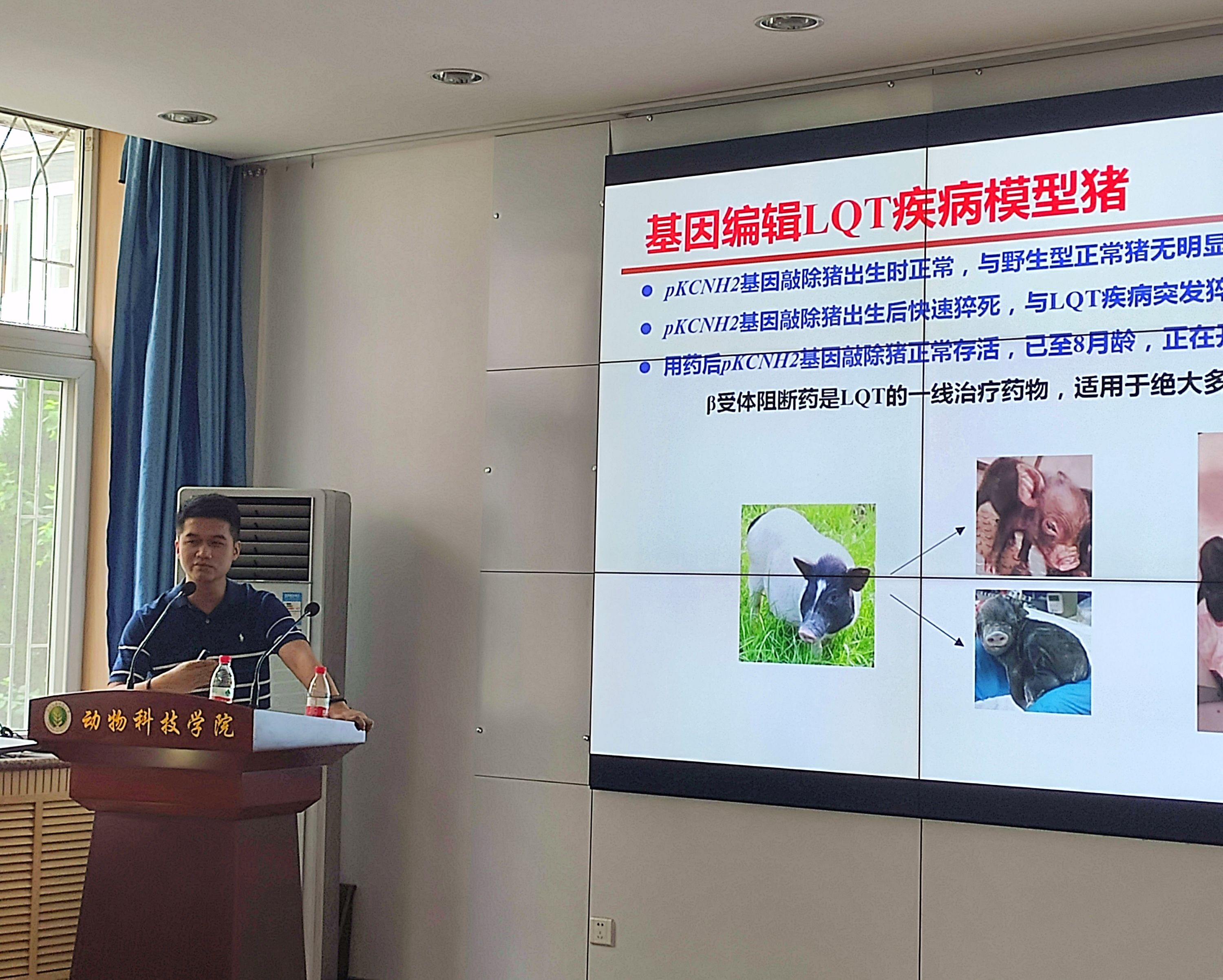 1dfd9b876ff842dfa292f370ea4f252c.jpg 1dfd9b876ff842dfa292f370ea4f252c.jpg