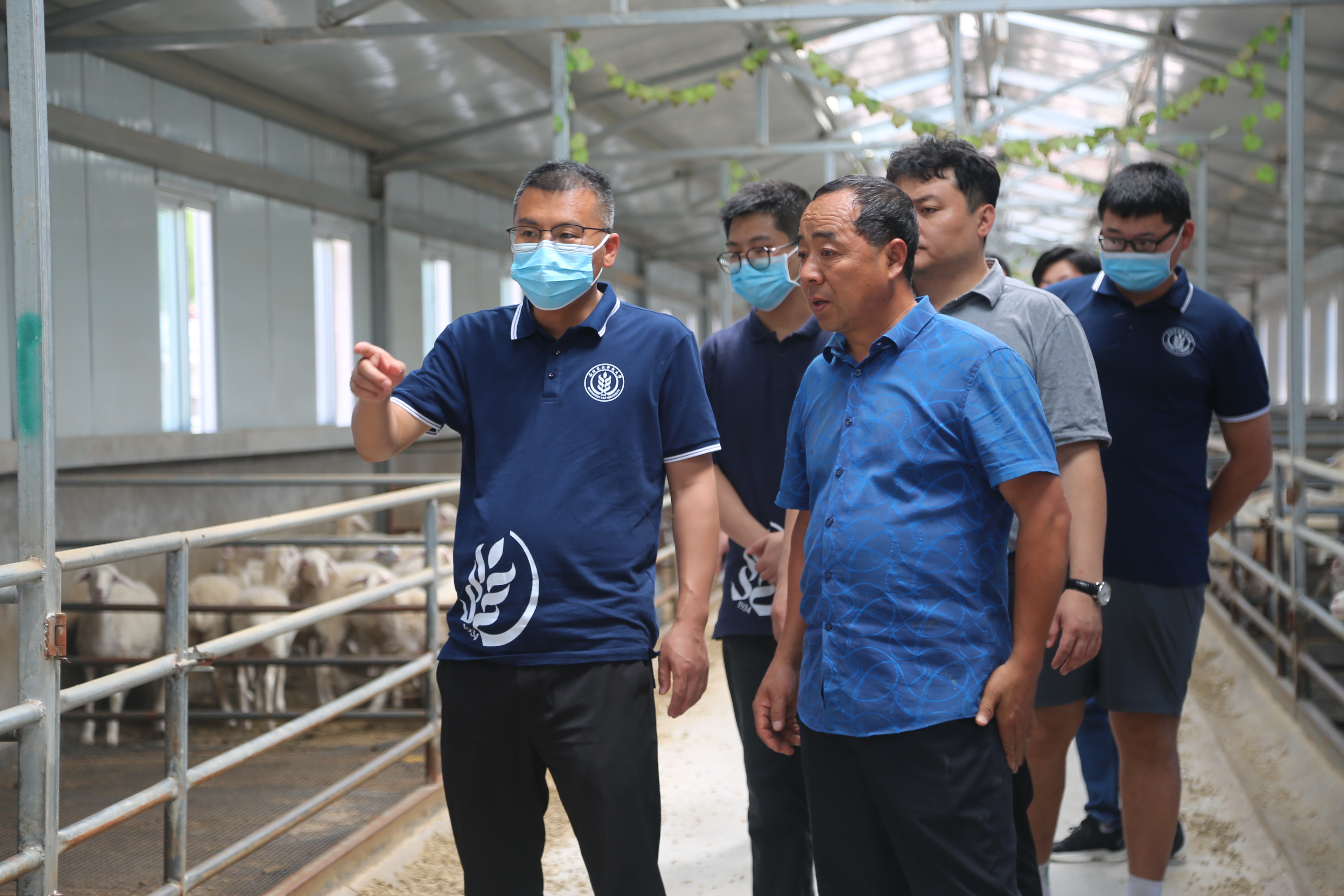 45714f0cf1944f1dbeb469580f34cae7.jpg 45714f0cf1944f1dbeb469580f34cae7.jpg