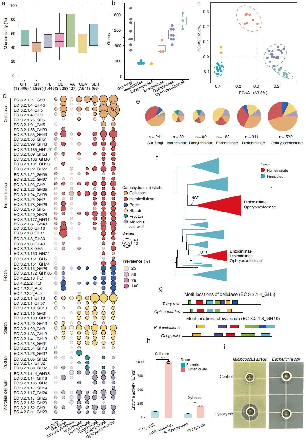 6840279045974b7485816ad1e89cd767.jpg 6840279045974b7485816ad1e89cd767.jpg