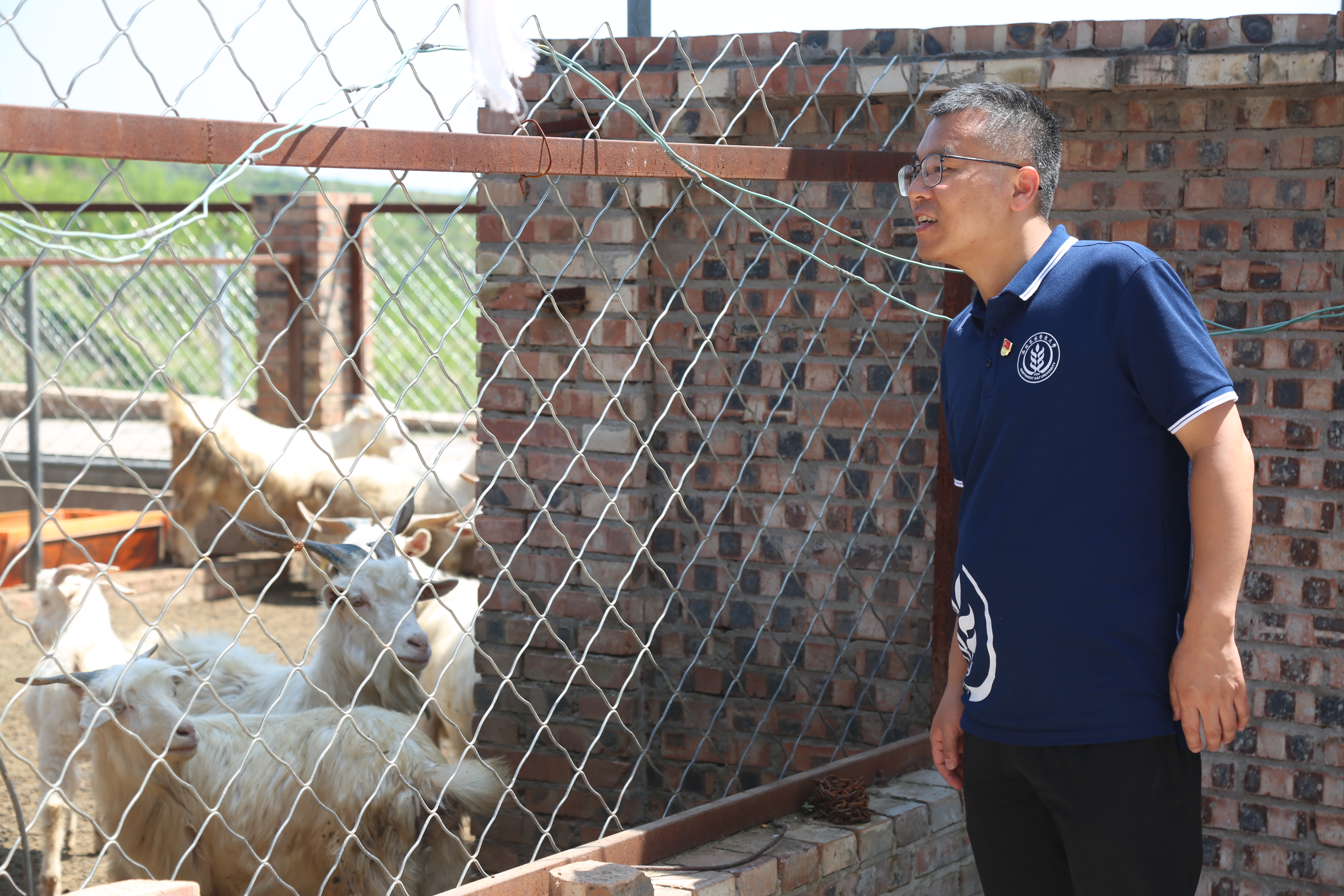 7c3597419c5b477eb3a5cdea6b09e5bf.jpg 7c3597419c5b477eb3a5cdea6b09e5bf.jpg