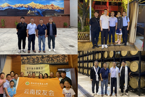 c2d8b1a579bf47478e55d226d703b3e8.jpg 云南校友们_副本.jpg