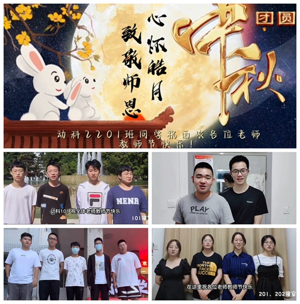 c9ddfb12e2b94d899986ace49ba8e6db.jpg 9082fdf4505a4840acaf872c014f3ada.jpg