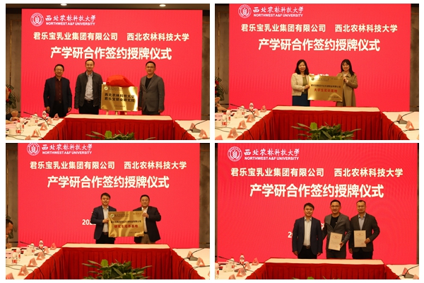 98909fb4ad6d44a5ad0e9c89b87d4b6c.jpg 授牌并颁发聘书.jpg