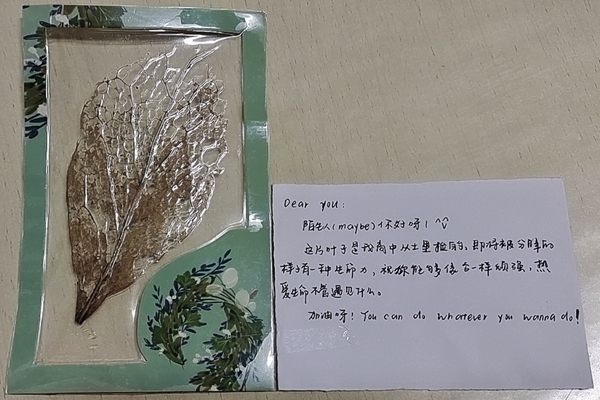 优秀作品-叶脉书签.jpg