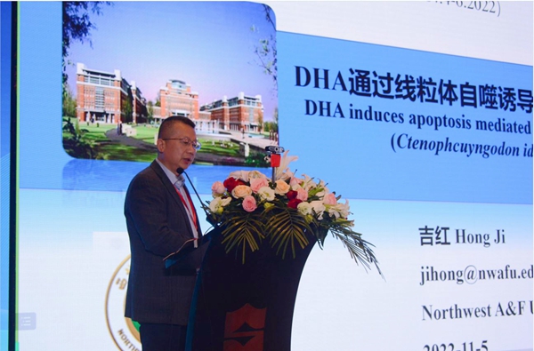 7bc5d3da597b4cf0965f9664fef0dc49.jpg 吉红教授作报告_副本.jpg