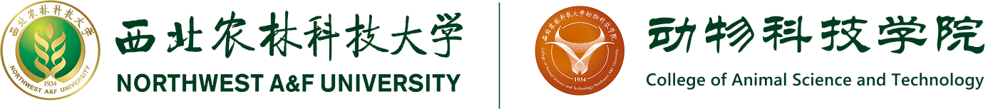 炸金花在线玩
